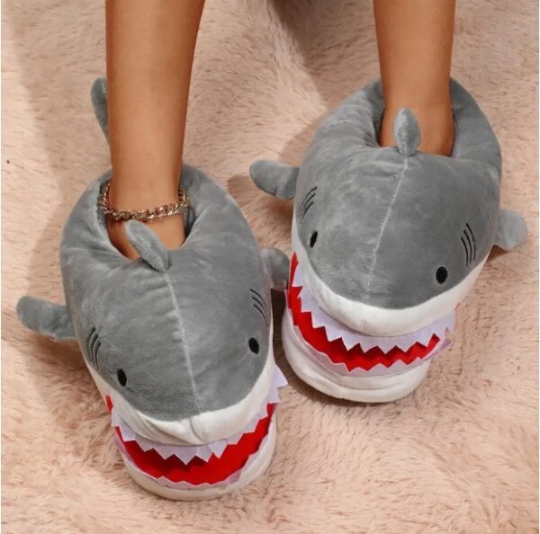 Chausson requin